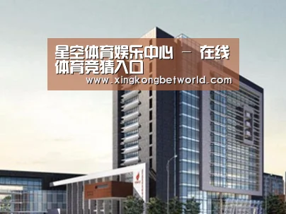 案例展示七