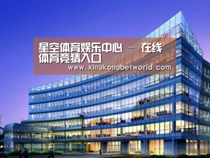 案例展示五